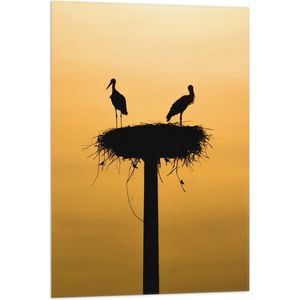 WallClassics - Vlag - Silhouet van Ooievaars op het Nest - 60x90 cm Foto op Polyester Vlag
