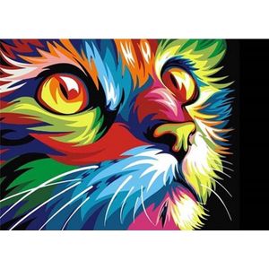 Delki® Diamond Painting Volwassenen Kleurrijke Kat - 22 kleuren - Vierkant - 30x40cm