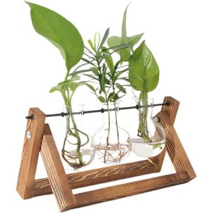 Vintage Glazen Propagatiestation met Houten Standaard - Bloemenvaas voor Hydrocultuur