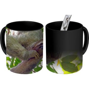 Magische Mok - Foto op Warmte Mokken - Koffiemok - Een lachende luiaard hangend in de groene bomen - Magic Mok - Beker - 350 ML - Theemok