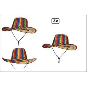 3x Western hoed regenboog Festival thema feest carnaval party fun money evenement