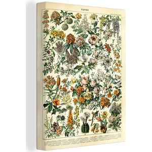 Canvas - Bloemen - Geel - Wit - Oranje - Vintage - Tekening - Muurdecoratie - Canvasdoek - 60x80 cm