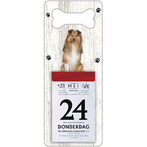Scheurkalender 2024 Hond: Shetland Scheepdog(Sheltie)