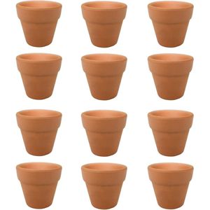 Mini Terracotta Aardewerk Potten - Perfect voor Planten - 12 Stuks - Terracotta - 3x3cm