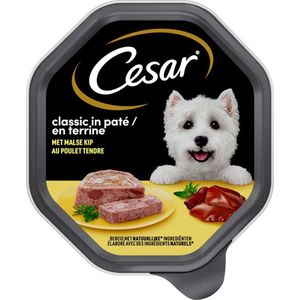 20x Cesar Hondenvoer - Classic - Kip in Paté - Maaltijdkuipjes 150g