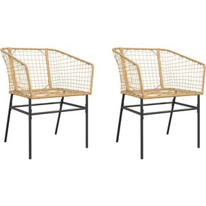 vidaXL Tuinstoel bruin poly rattan - set van 2 Tuinstoel - PE-rattan - Staal - Bruin - Comfortabele Tuinstoel