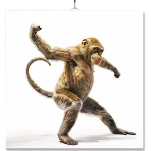 Tegel Met Opdruk | Geschenk | Wc | Toilet | Aap