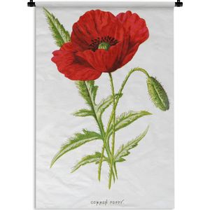 Wandkleed Vintage Bloemen - Vintage illustratie van een rode bloem Wandkleed katoen 90x135 cm - Wandtapijt met foto