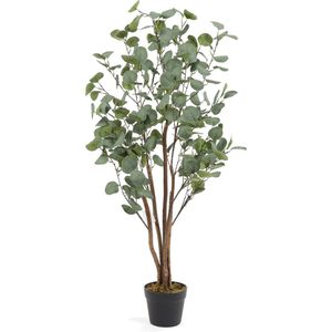 Kunst Eucalyptus Koala | 120cm - Namaak eucalyptus boom - Kunstplanten voor binnen - Kunstplant eucalyptus