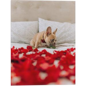 WallClassics - Vlag - Hondje op Bed met Rode Rozenblaadjes - Franse Buldog - 30x40 cm Foto op Polyester Vlag