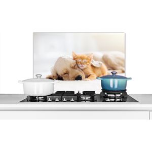 Spatscherm keuken - Kat - Hond - Poes - Kitten - Deken - Dieren - Muurbeschermer - 60x40 cm - Spatscherm kat - Spatscherm hond - Achterwand keuken - Spatwand - Keuken decoratie