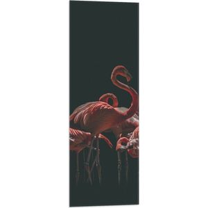 WallClassics - Vlag - Roze Flamingo's met Zwarte Achtergrond - 30x90 cm Foto op Polyester Vlag