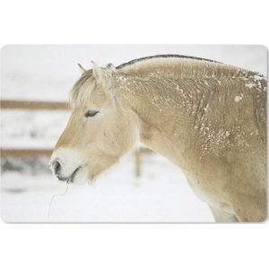 Bureau mat - Close-up van een fjord paard in de sneeuw - 60x40