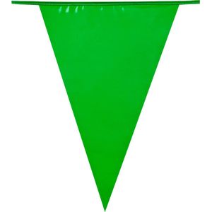 Boland - PE vlaggenlijn groen Groen - Geen thema - Feestversiering