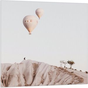 WallClassics - Vlag - Twee Beige Luchtballonnen boven Beige Landschap - 100x100 cm Foto op Polyester Vlag