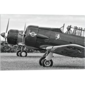 WallClassics - Vlag - Piloot in Stuntvliegtuig in het zwart-wit - 60x40 cm Foto op Polyester Vlag