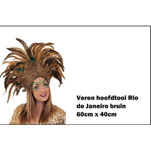 Luxe veren hoofdtooi Rio de Janeiro bruin - Carnaval brasil thema feest party festival fun optocht