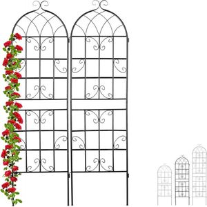Luxe Klimrek Planten - Plantensteunen voor Klimplanten - Wandrek voor Buiten - Ijzer - Nature - 50x150cm - Zilver