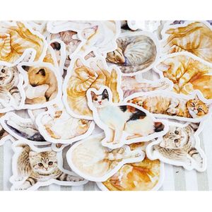 stickers Katten decoratie washi 45 stuks