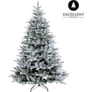Excellent Trees® Otta Kerstboom met Sneeuw 210 cm - Luxe uitvoering