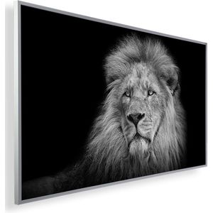 Infrarood Verwarmingspaneel 450W met fotomotief en Smart Thermostaat (5 jaar Garantie) - Lion 69