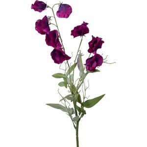 Viv! Home Luxuries Lathyrus - zijden bloem - roze/paars - 70cm