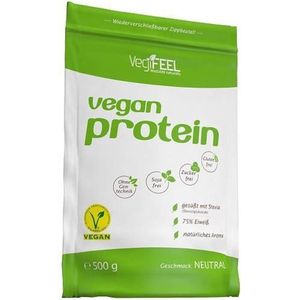 Vegan Protein 500gr Naturel