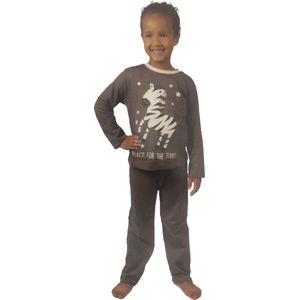 Pyjama / Pyjamapak met zebra print - Kinderen - Antraciet / Roze - Katoen - Maat 104 / 110