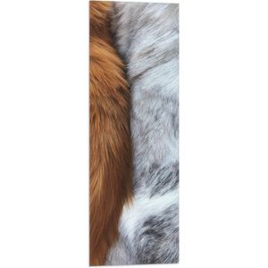 WallClassics - Vlag - Kattenvachten in Bruin en Grijs - 30x90 cm Foto op Polyester Vlag