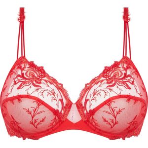 hibiscus beaute-lise Charmel-ACH6072-85/100D