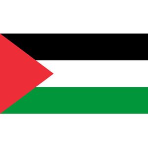 Palestijnse Vlag 120x180cm