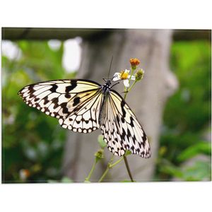 WallClassics - Vlag - Zwart met Witte Vlinder op een Bloemetje - 40x30 cm Foto op Polyester Vlag