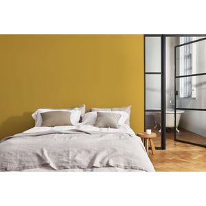 Levis Ambiance Mur Tester - True Joy - 30 ML