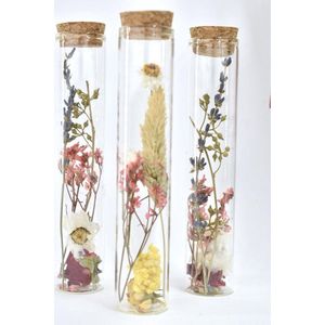 Droogbloemen in glazen buisje | Natuurlijk Bloemen | Droogbloemen | Dried Flowers