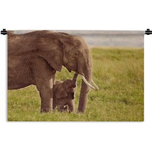 Wandkleed Baby olifant en moeder - Baby olifant bij zijn moeder in Kenia Wandkleed katoen 120x80 cm - Wandtapijt met foto