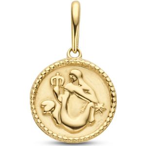 New Bling 9NBG-0276 Gouden Sterrenbeeld - Waterman - 10mm Doorsnee - 14 Karaat - Goud