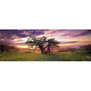 Heye Puzzel - Oak Tree