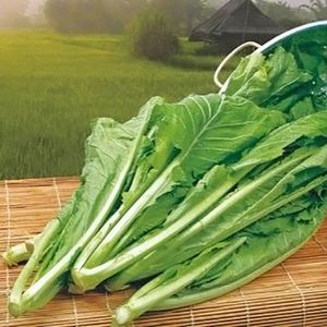 Amsoi zaden - Groene Amsoi