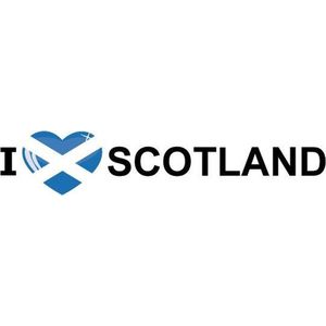 Set van 10x stuks i Love Scotland vlag sticker 19.6 cm - Feestartikelen en versieringen