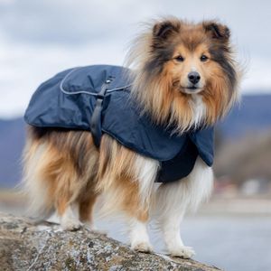 L'élianne ®: Honden Winterjas - Winterjas Hond - Hondenkleren - Hondenkleding - Hondenjas Winter - Donker blauw - SIZE S