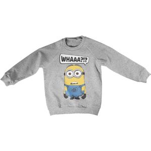 Minions Sweater/trui kids -Kids tm 10 jaar- Whaaa?!? Grijs