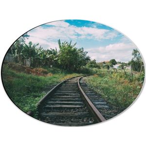WallClassics - Dibond Ovaal - Spoorweg door Landschap - 40x30 cm Foto op Ovaal (Met Ophangsysteem)