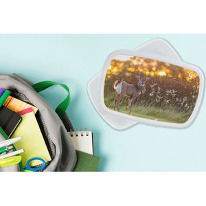 Broodtrommel Wit - Lunchbox - Brooddoos - Hert - Planten - Zonsondergang - Wilde dieren - Natuur - 18x12x6 cm - Volwassenen