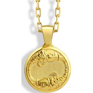 Pisces ketting Gold Polished 22 inches