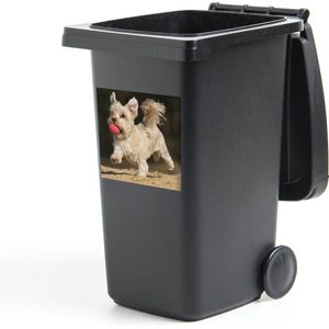Container sticker Een Maltezer hond met een rode bal - 40x40 cm - Kliko sticker