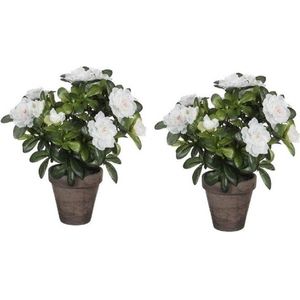 Mica Decorations Kunstplant - 2x - Azalea - groen/wit - 27 cm - Met mooie bloemen