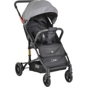 Moni Colibri Grey Wandelwagen 110848