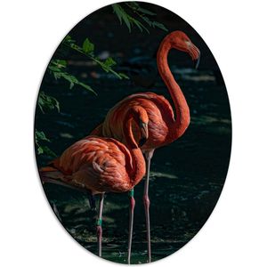 WallClassics - Dibond Ovaal - Twee Flamingos in de Schaduw - 42x56 cm Foto op Ovaal (Met Ophangsysteem)