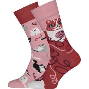 Toffe Sokken - Gekke Sokken - Leuke Sokken - Playful Cat - Maat: 39 t/m 42