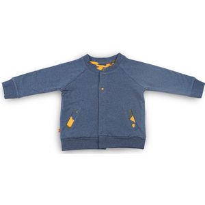 Frogs and Dogs - Vestje - Navy Blauw - Maat 50 - Jongens, Meisjes